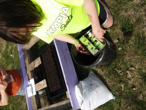 Jazzy making our first soil blocks of the season!