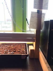 A wooden stand built to hold a grow light at the Bristol Hub in tight spaces.