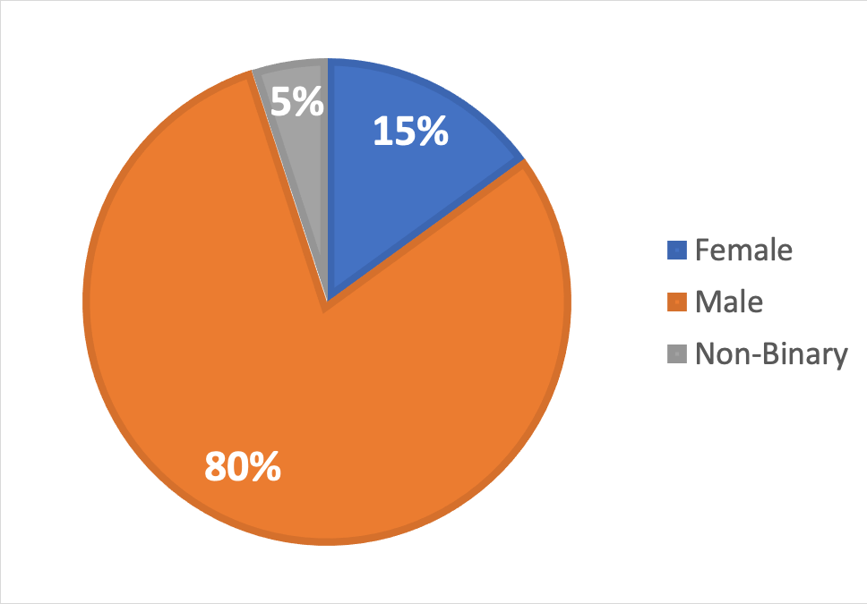 A pie chart displaying the attendance broken down by gender identities. Of all attendees fifteen percent identified as female, five percent identified as gender non-binary, and eighty percent identified as male. 